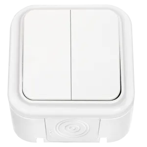 Выключатель двухклавишный брызгозащищенный открытой установки А5 6-224 8646BY