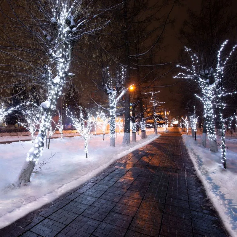 Гирлянда LED Клип-лайт 12 V, прозрачный ПВХ, 150 мм, цвет диодов Белый Flashing (Белый) - Фото 2