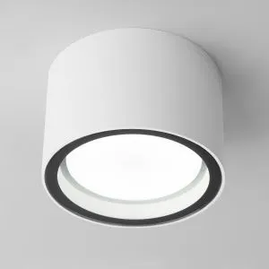 Светильник уличный потолочный Light 26231 IP54 35144/H белый Elektrostandard a057867
