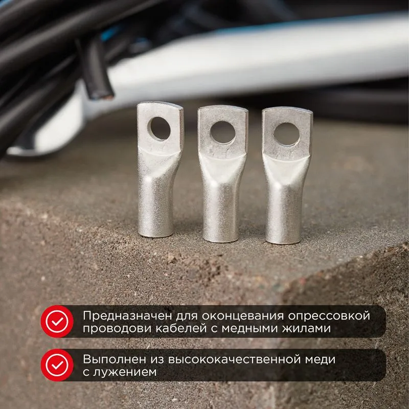 Наконечник медный луженый ТМЛ-Р 25–6 (25мм² - Ø6мм) (в упак. 100 шт.) REXANT - Фото 2