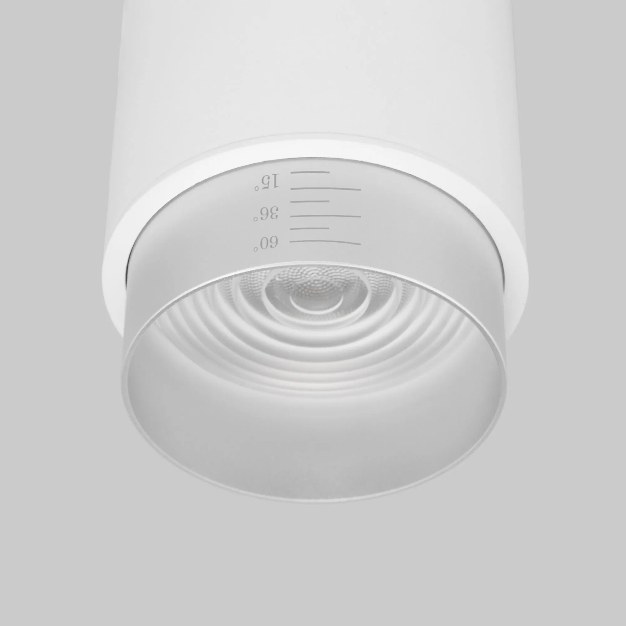 Накладной светодиодный светильник Cors 25032/LED 10W 4200K белый/серебро Elektrostandard - Фото 2